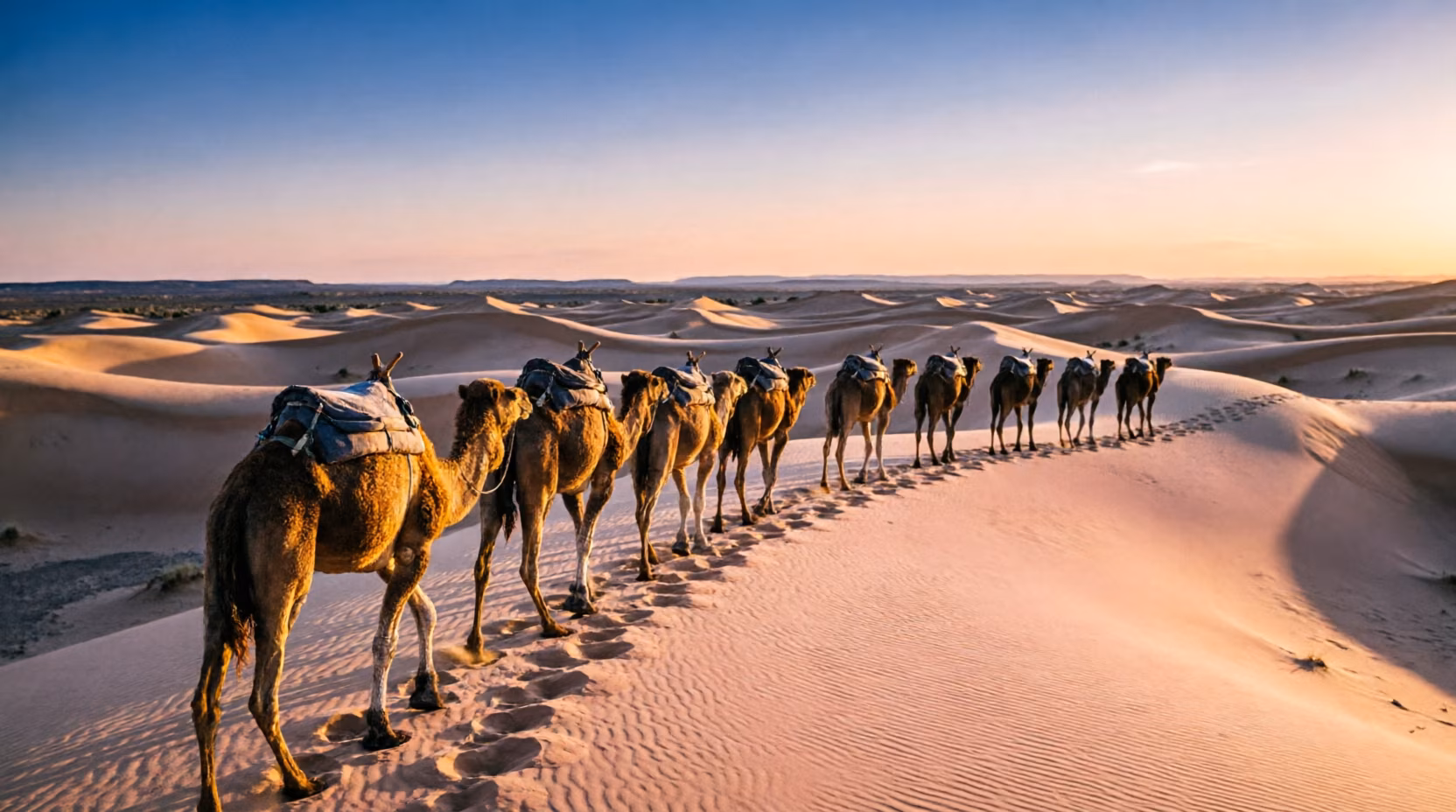 Sahara dunes near Douz and Ksar Ghilane