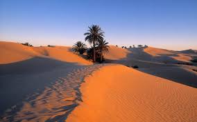 Camel caravan in sand dunes near Douz, gateway to the Sahara