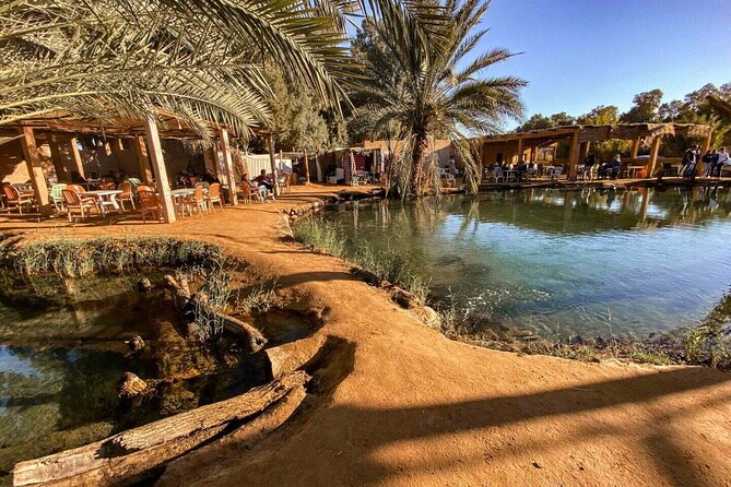 Ksar Ghilane hot springs oasis surrounded by Sahara dunes
