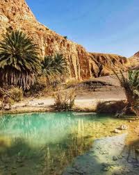 Palm groves and brick architecture of Tozeur oasis, southern Tunisia