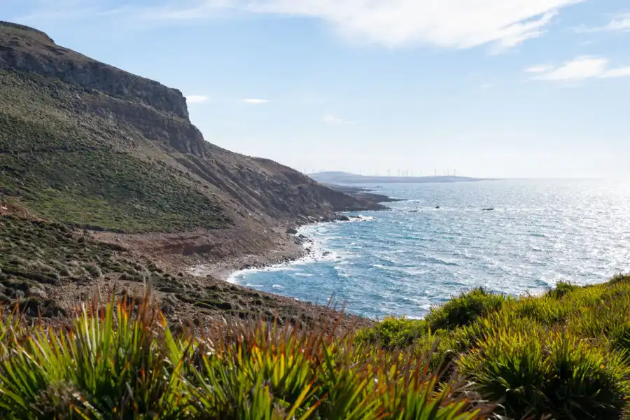 Paysage tunisien — Cap Bon