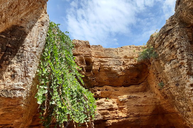 Rochers et criques sauvages d'El Haouaria