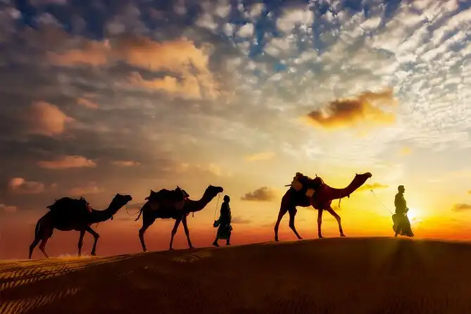 Lever de soleil chameau dunes Sahara — circuit desert tunisie