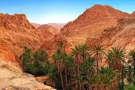 Oasis Chebika Tamerza Mides — circuit desert sahara tunisie
