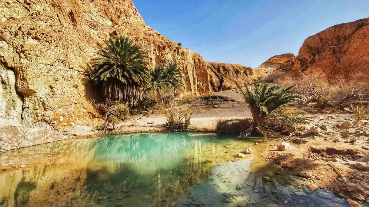Palmeraie et medina de Tozeur — circuit desert tunisie